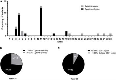 NOTCH3 Variants and Genotype-Phenotype Features in Chinese CADASIL Patients